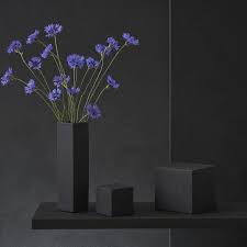 Attēlu rezultāti vaicājumam “Cyanus segetum”