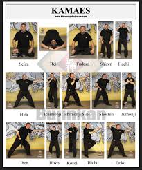 Image result for Bujinkan Dojo Seijitsu