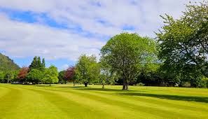 Image result for Betws-Y-Coed Golf Club