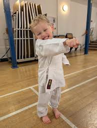 Image result for Alleyn School Of Japanese Karate