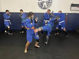 Image result for Combat Sambo