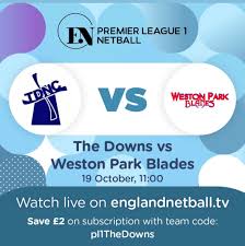 Image result for The Downs Netball Club