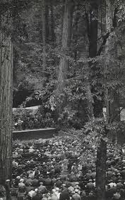 Image result for bohemian grove