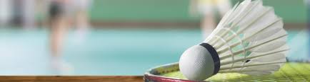 Image result for Chilwell Olympians Junior Badminton Club