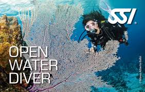 Image result for Looe Diving Club