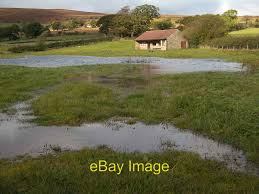 Image result for Westerdale Cricket Club