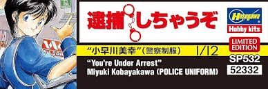 「小早川美幸 逮捕しちゃうぞ」の画像検索結果