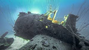 Image result for Robin Hood Dive School