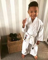 Image result for Epsom & Ewell Karate Club