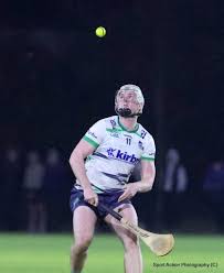 Image result for University Of Limerick Gaa Hurling Club