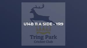 Image result for Tring Park Cricket Club