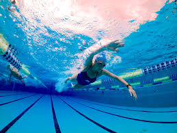 Image result for Swimming