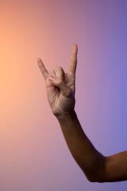 Image result for illuminati hand sign