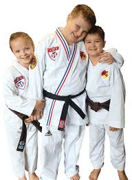 Image result for ATA Martial Arts Maple Ridge