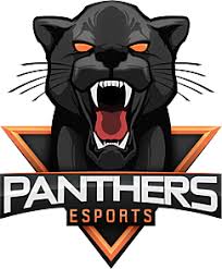 Afbeeldingsresultaat voor panters