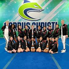 Image result for Gym Stars Cheerdancing Club