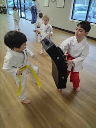 Image result for Hetton and Murton Karate Academy