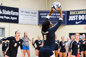 Image result for Sutton Volleyball Club