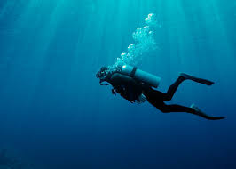 Image result for Maidstone Sub Aqua Club