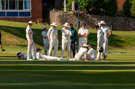 Image result for Malvern Cricket Club