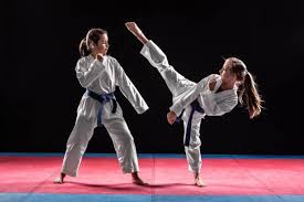 Image result for COMBAT TAEKWONDO