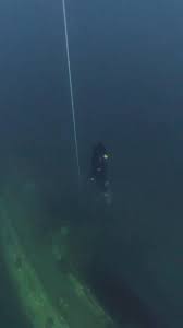 Image result for Apneists UK