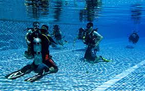 Image result for Aquanauts Dive Centre Sunderland