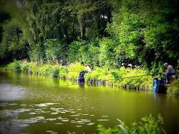 Image result for Guildford Angling Society