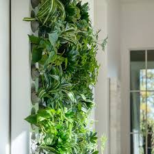 Image result for living wall