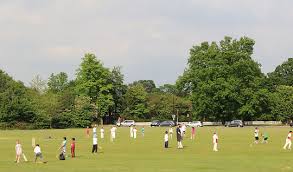 Image result for Ingleby Greenhow Cricket Club