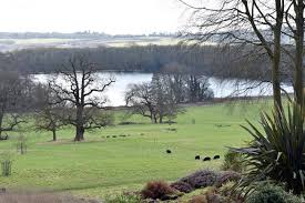 Image result for Mid Surrey Ramblers