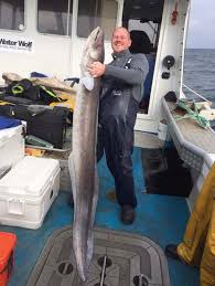 Image result for British Conger Club