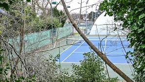 Image result for Sutton Coldfield Table Tennis Club