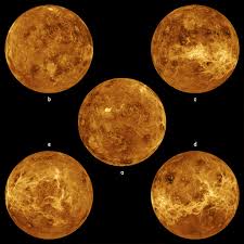 Image result for venus