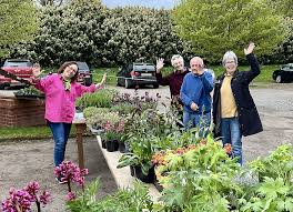 Image result for Stebbing Bowling Club