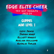 Image result for Edge Elite Cheerleading Squad