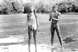 Image result for brooke shields nude