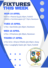 Image result for Sarsfield Gfc