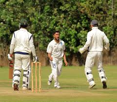 Image result for Plumtree Cricket Club