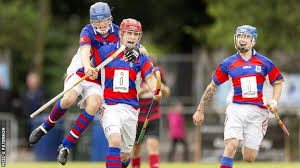 Image result for World of Shinty