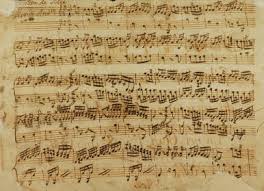 Image result for catalans universals