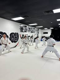 Image result for Junsui Shotokan Karate Do