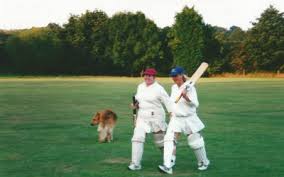 Image result for Luton Nomads Cricket Club