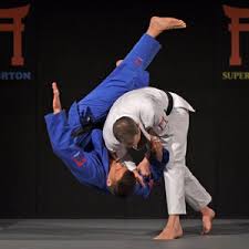Image result for AAZENTAI JU JITSU