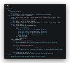Image result for %82%E4%82%C1%82%AD%82%E8%82%B5%82%C4%82%A2%82%C1%82%C4%82%CB