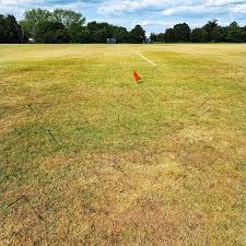 Image result for Abbey Bowmen Archery Club, Essex