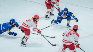 Image result for York University Street Hockey Club