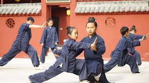 Image result for Shaolin Ancestors kung Fu School