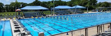 Image result for Selby Tiger Sharks Swimming Club