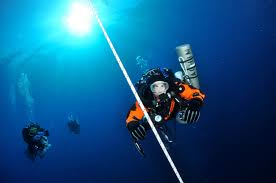 Image result for innerspace divers